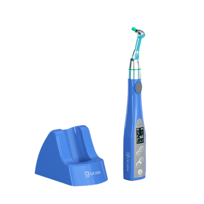 Professional Mechanical Tooth Cleaning