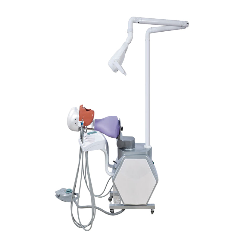 JG-A11 Dental Simulation