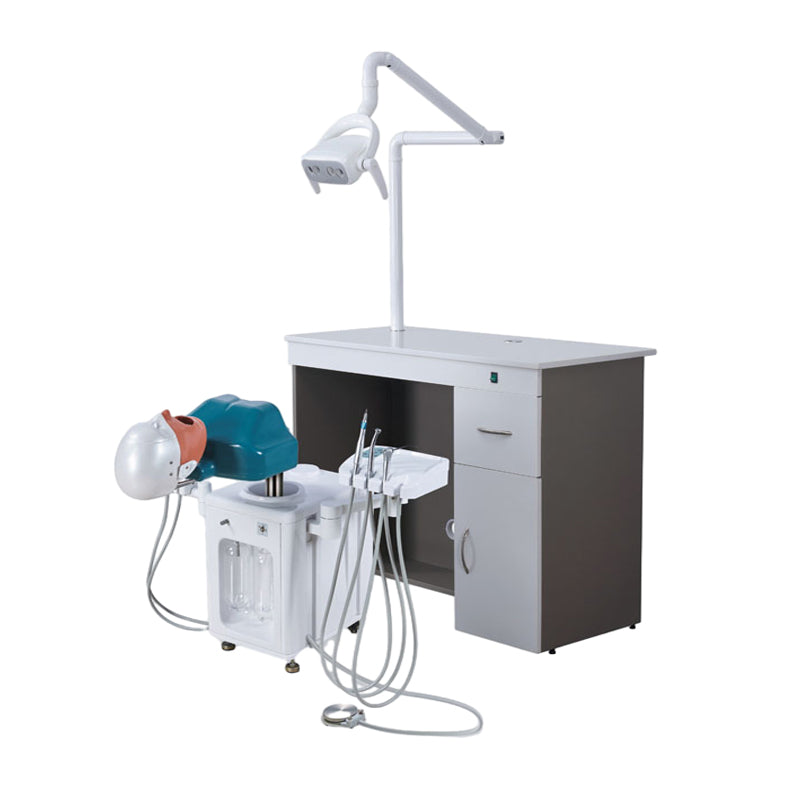 JG-A6 Dental Simulation