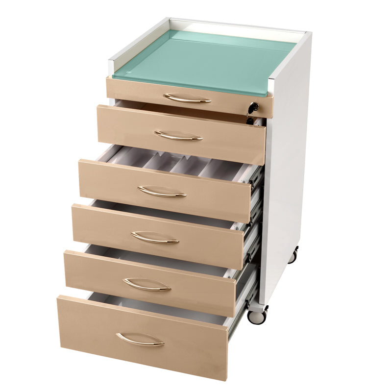 J 501 Dental Cabinet